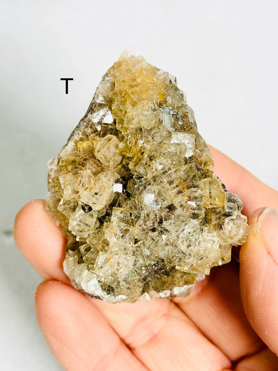 Moscona Fluorite