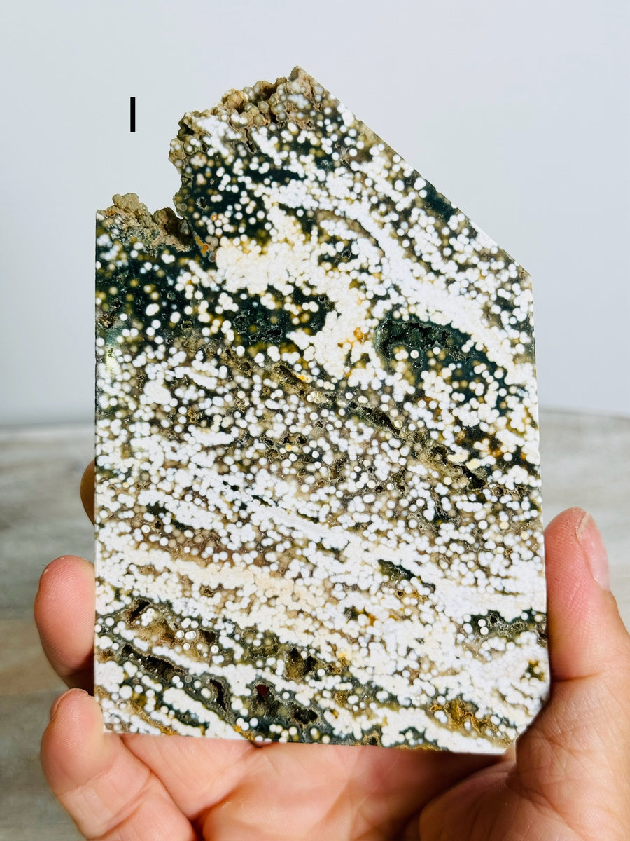 Ocean Jasper Slab