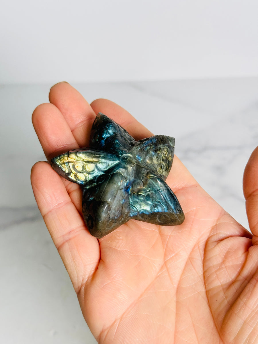 Labradorite Starfish Carving