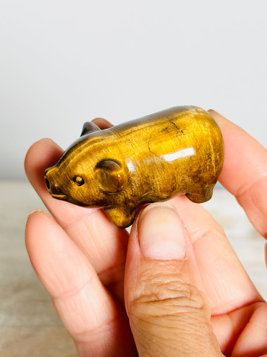 Tiger Eye Pig Carving