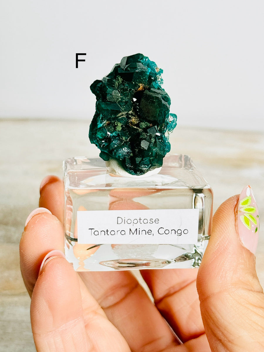 Dioptase from Congo