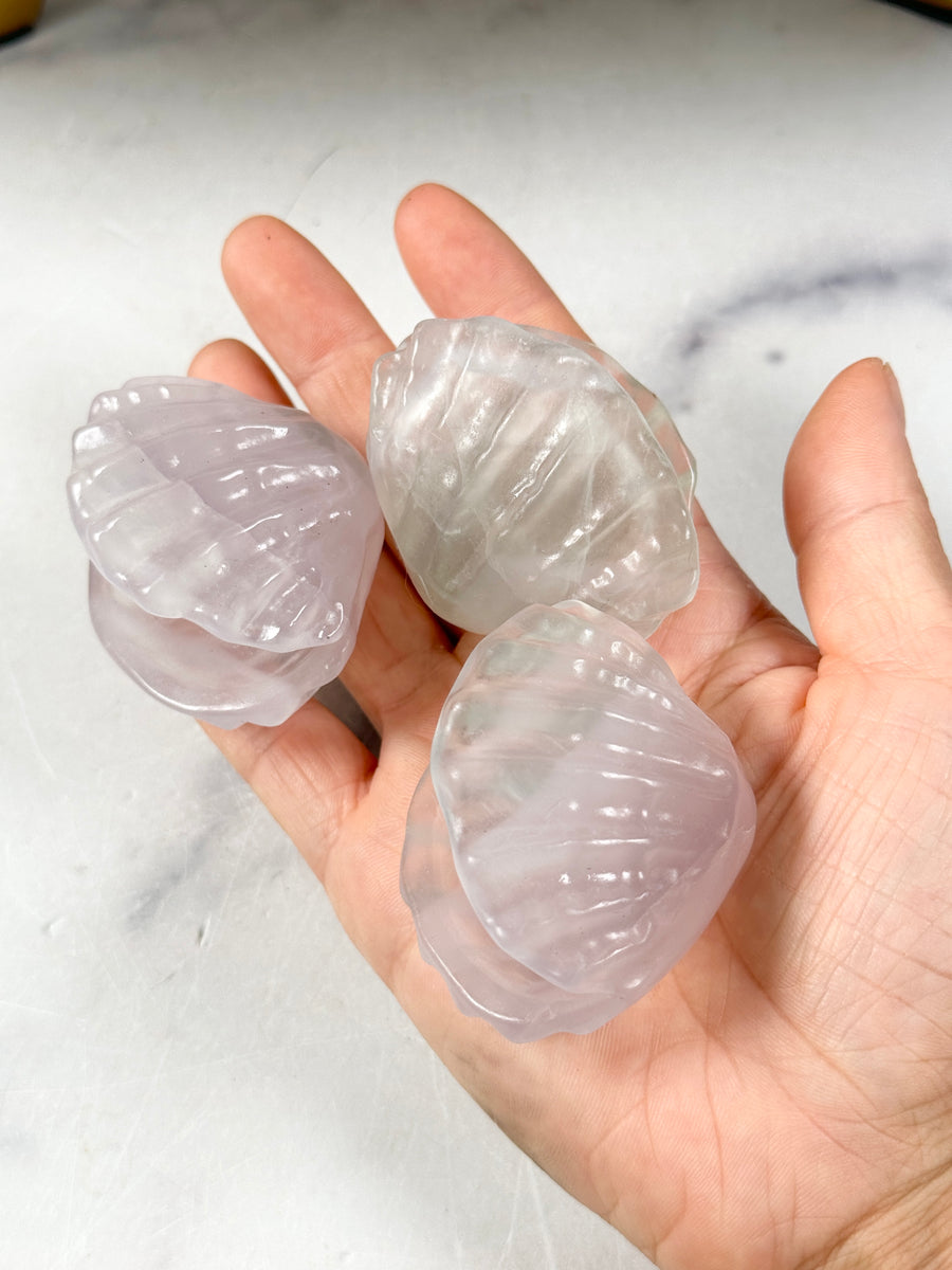 Lavender Fluorite Sea Shell Carving