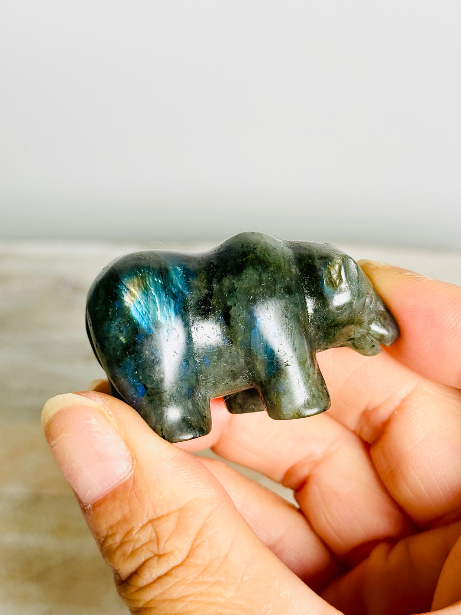 Labradorite Bear Carving