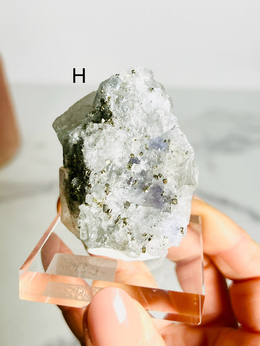 Blue Fluorite with Pyrite Cluster