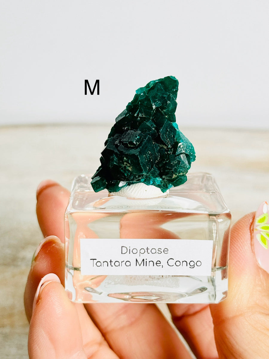 Dioptase from Congo