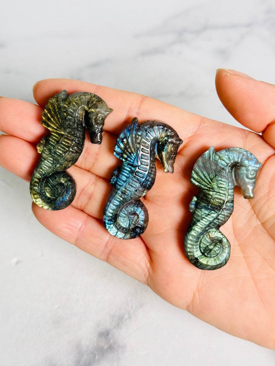 Labradorite Seahorse Carving