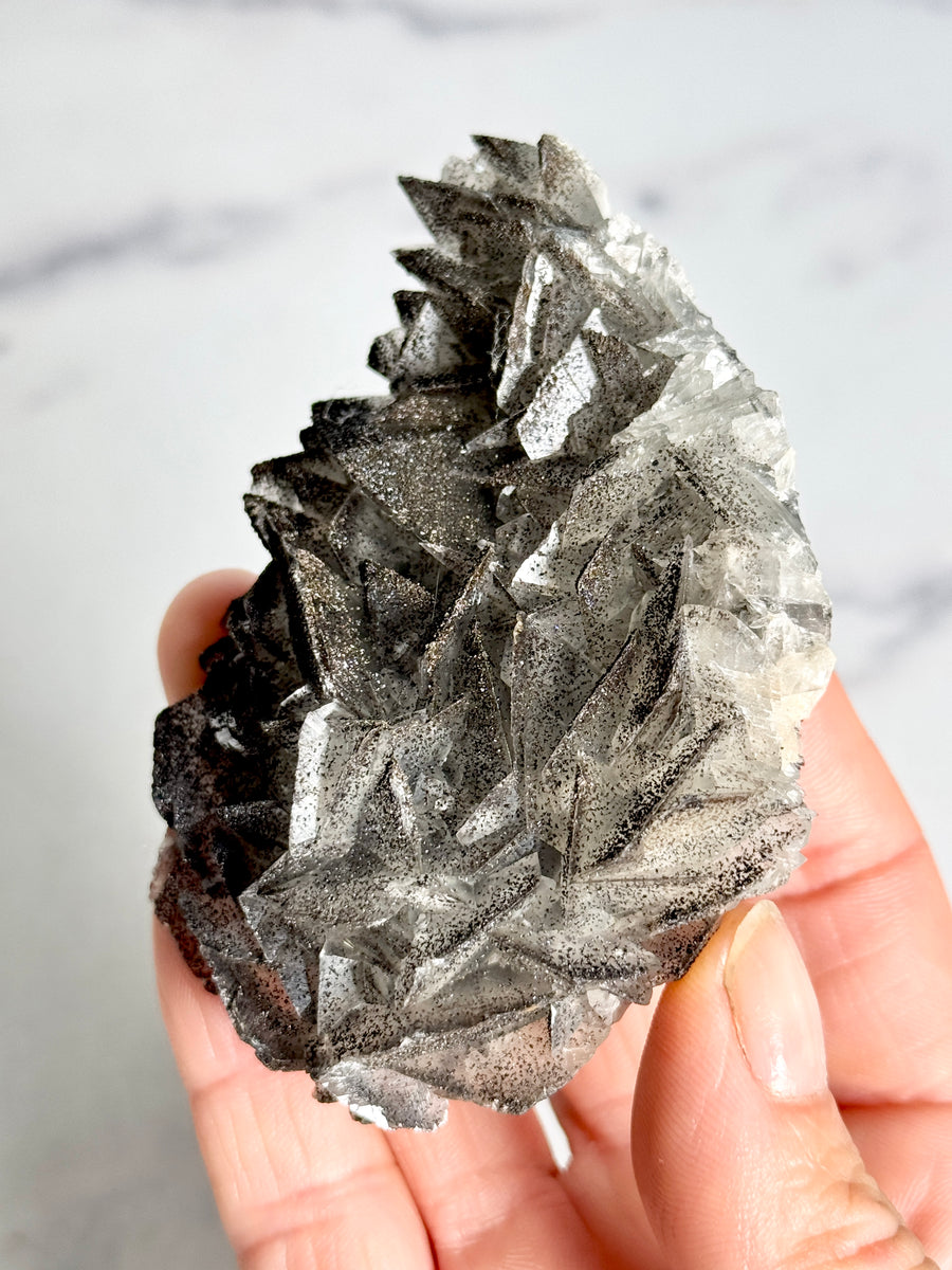 RARE - Black Rose Calcite with Goethite