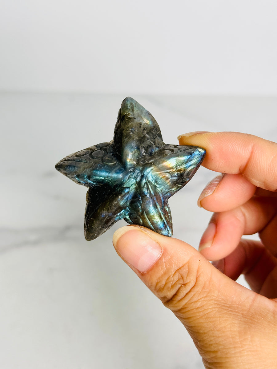 Labradorite Starfish Carving