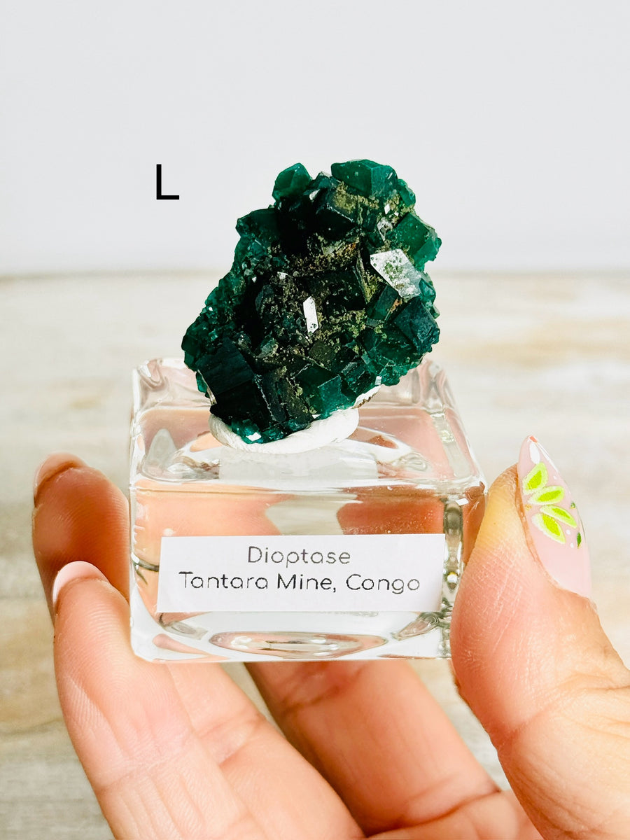 Dioptase from Congo