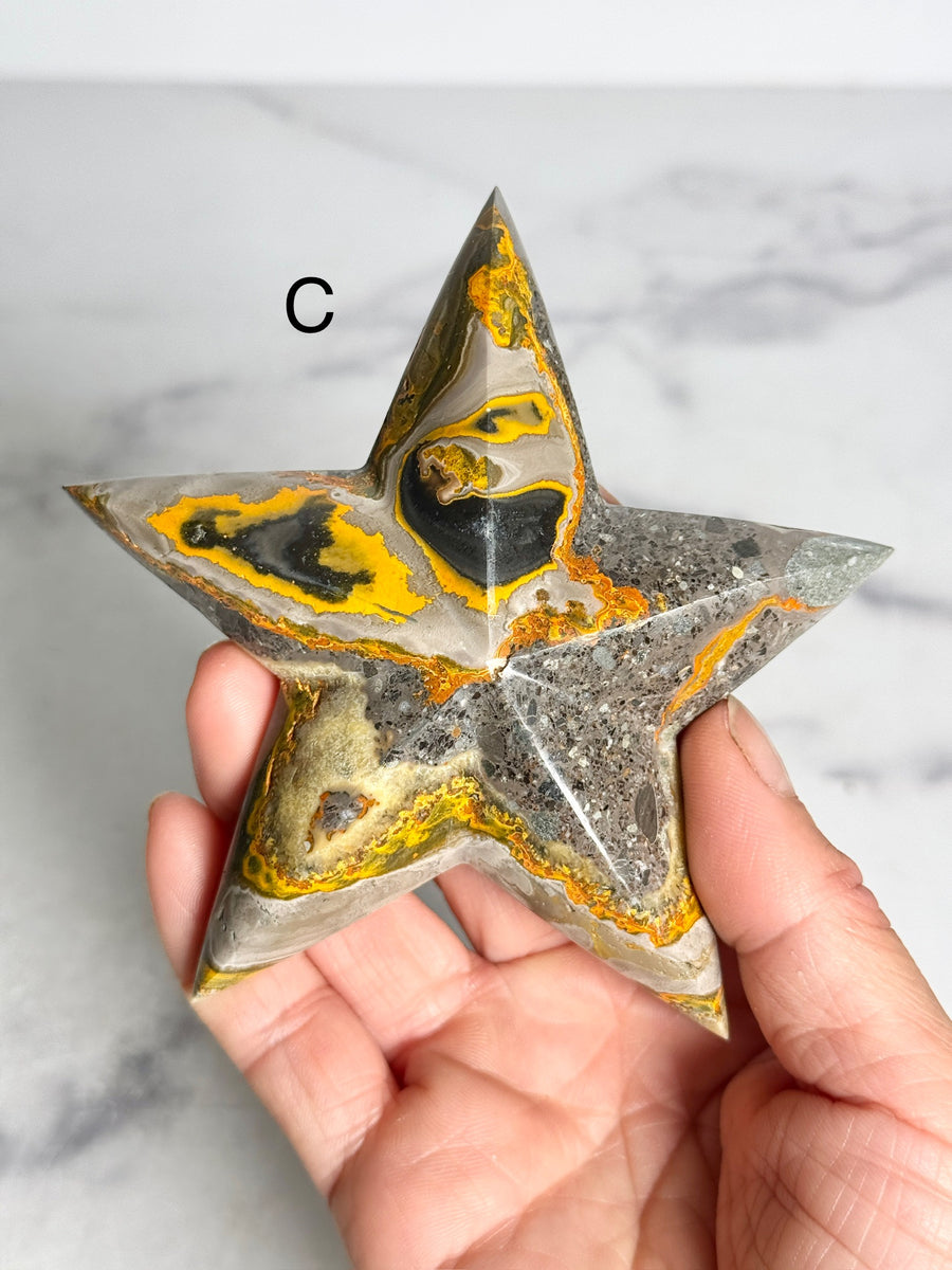 Bumblebee Jasper 3D Star Carving