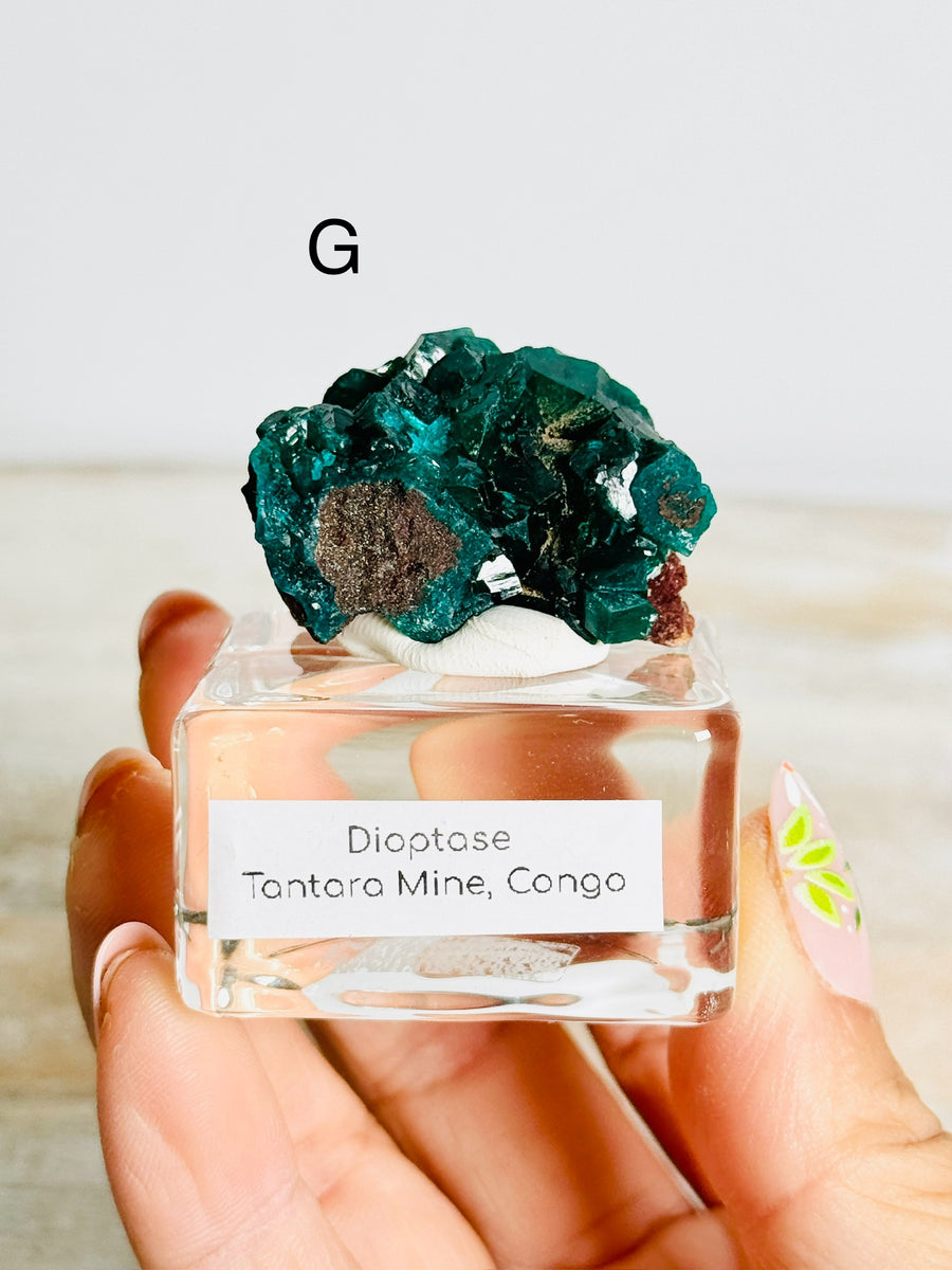 Dioptase from Congo