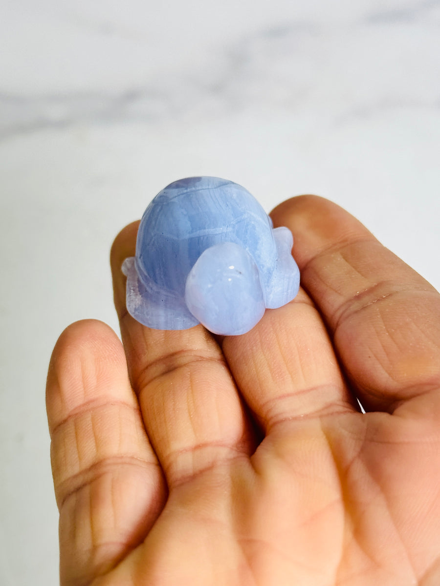 Blue Lace Agate Turtle Carving