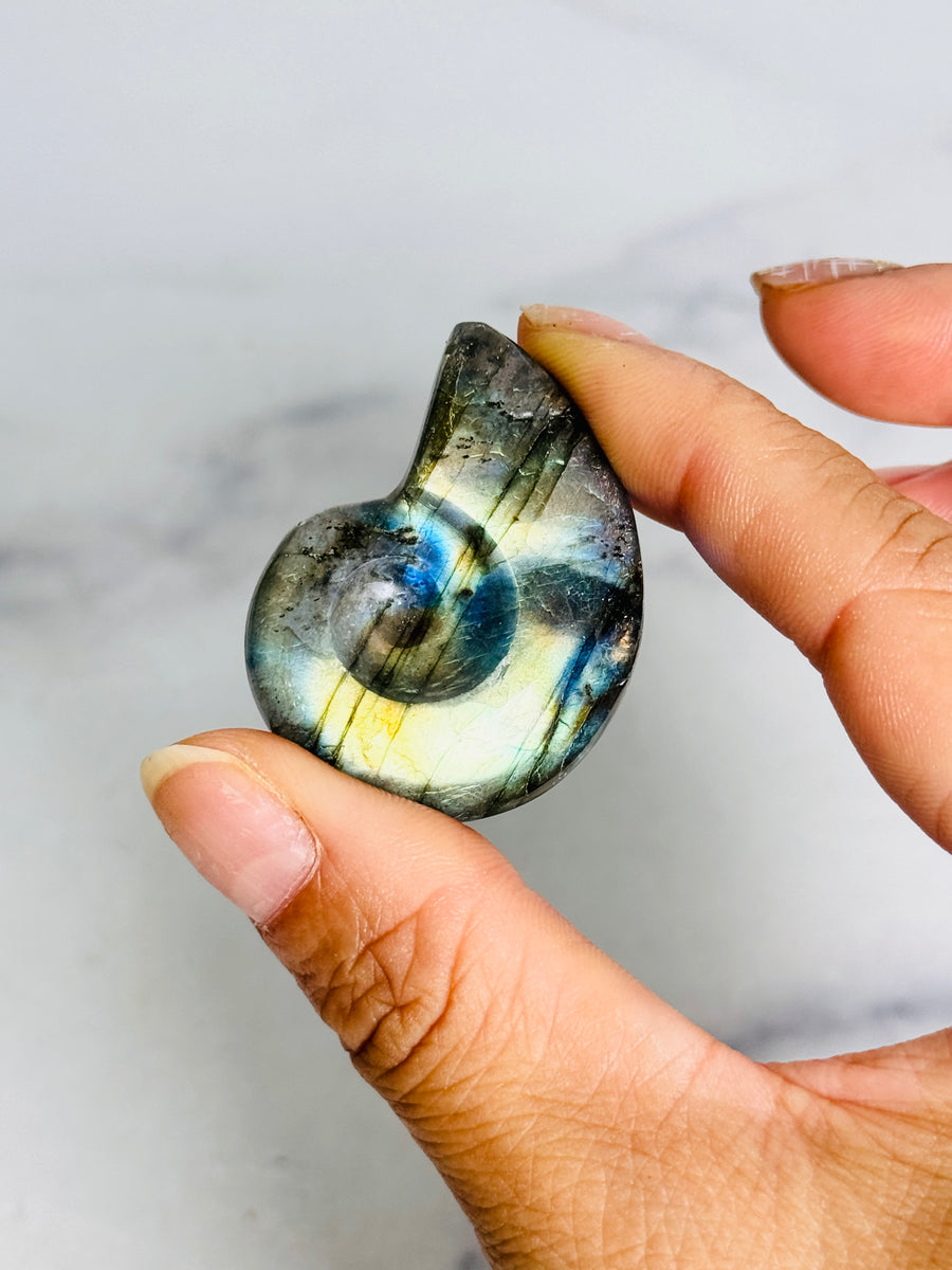 Labradorite Shell Carving