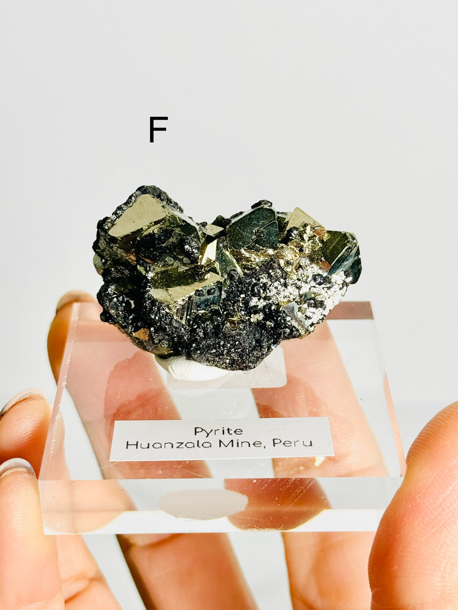 Pyrite with Galena from Peru