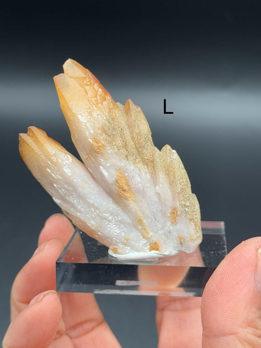 Feather Calcite with Pyrite