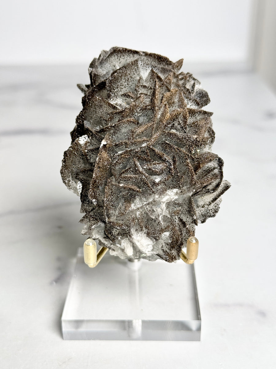 RARE - Black Rose Calcite with Goethite