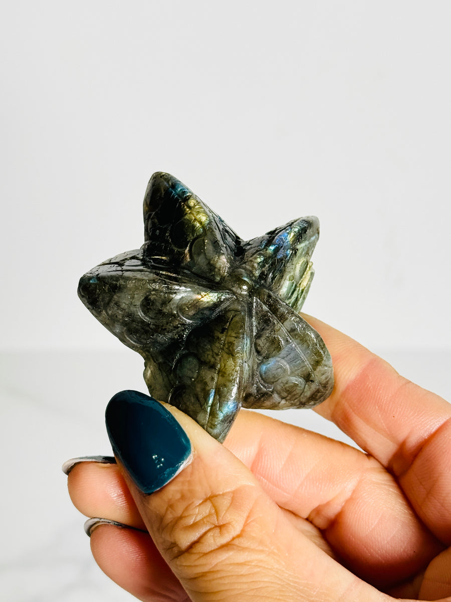 IMPERFECT Labradorite Starfish Carving