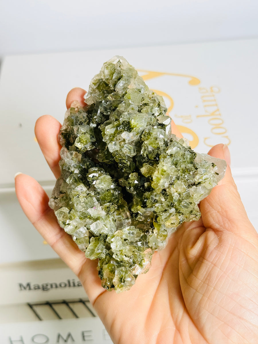 Forest Epidote with Quartz Cluster