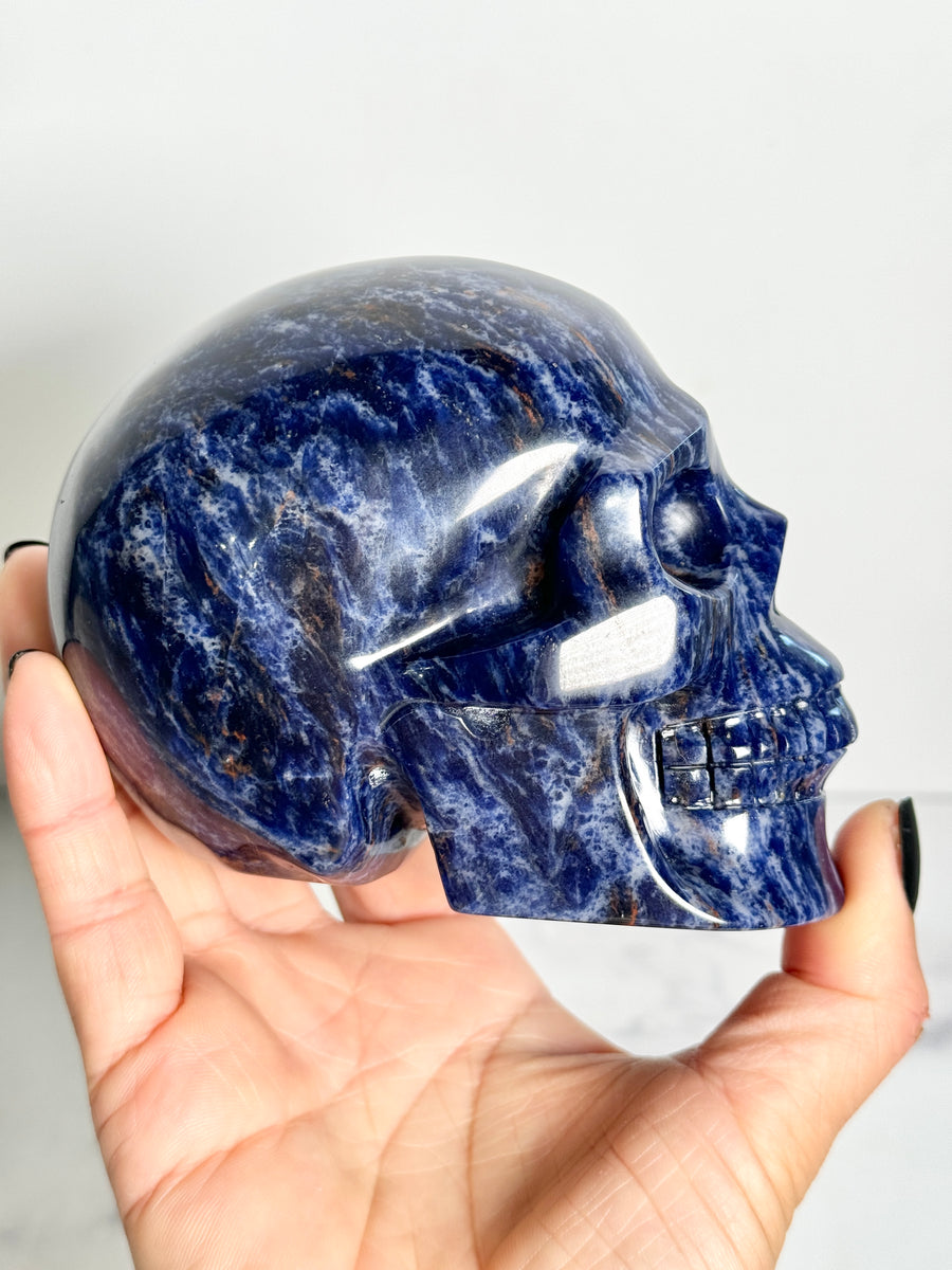 Sodalite Skull Carving