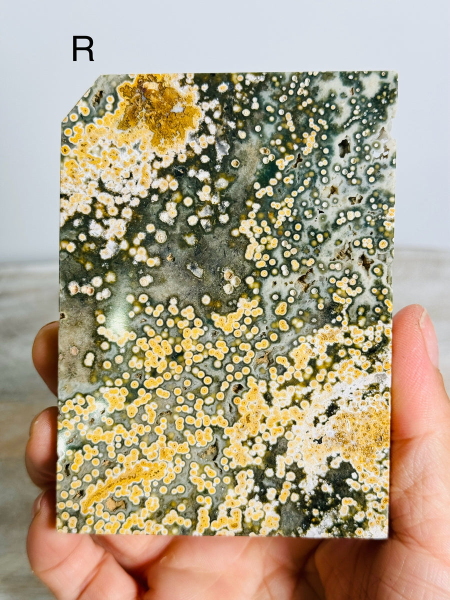 Ocean Jasper Slab