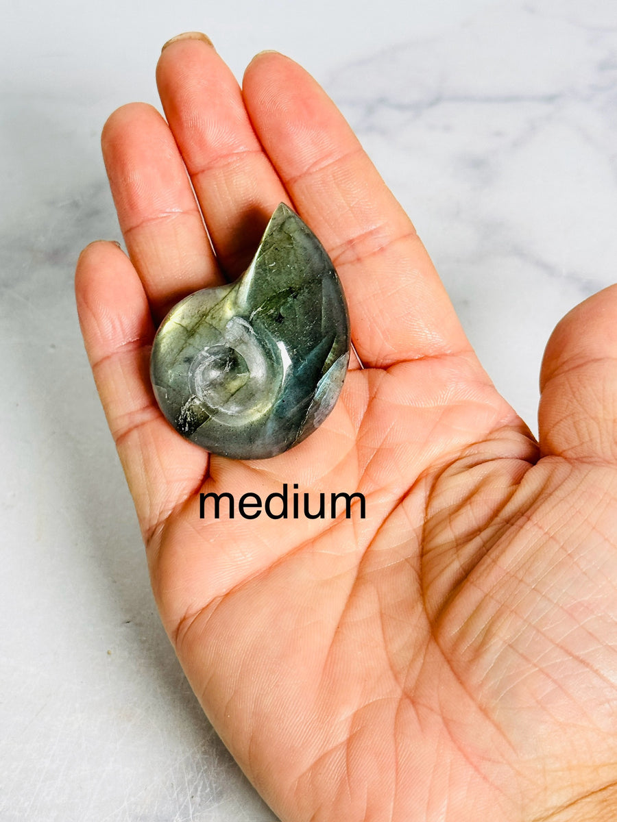 Labradorite Shell Carving