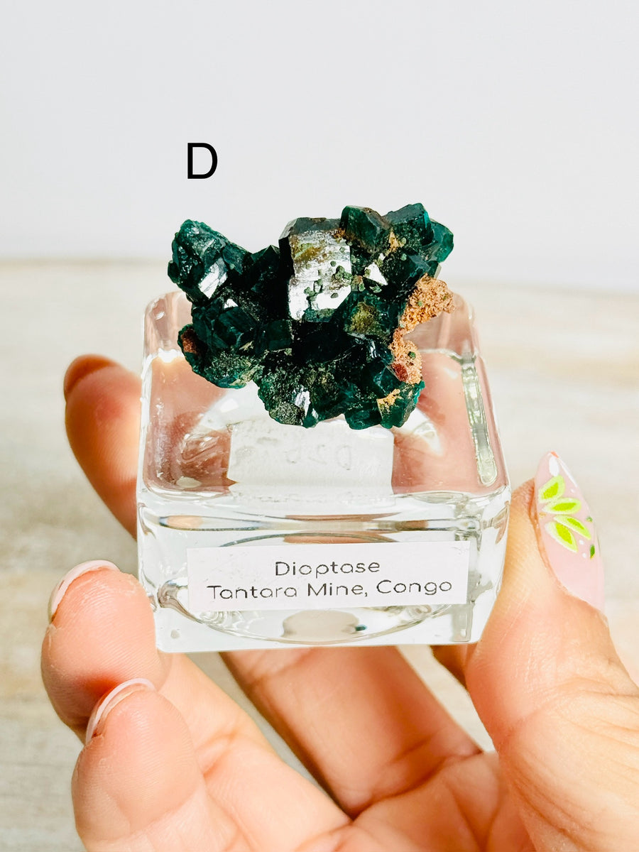 Dioptase from Congo