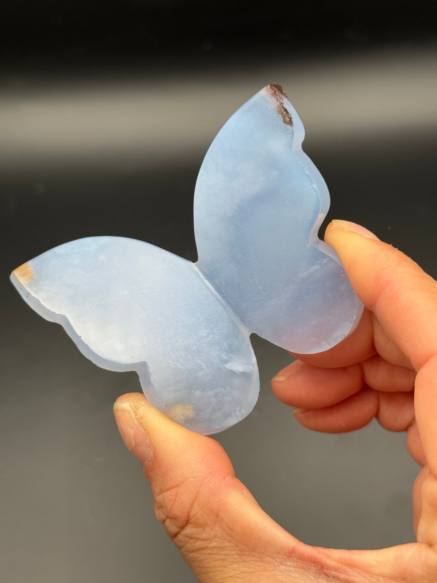 Blue Chalcedony 3D Butterfly Carving