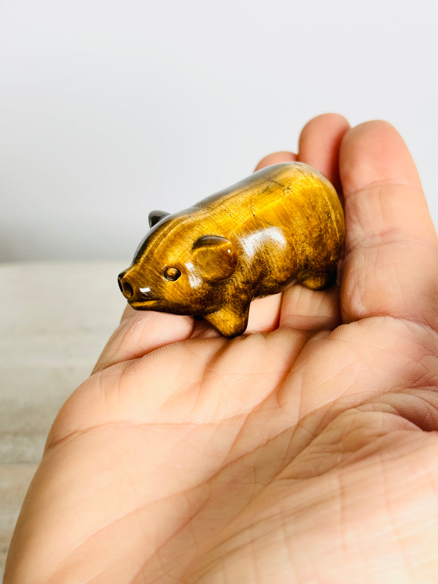 Tiger Eye Pig Carving