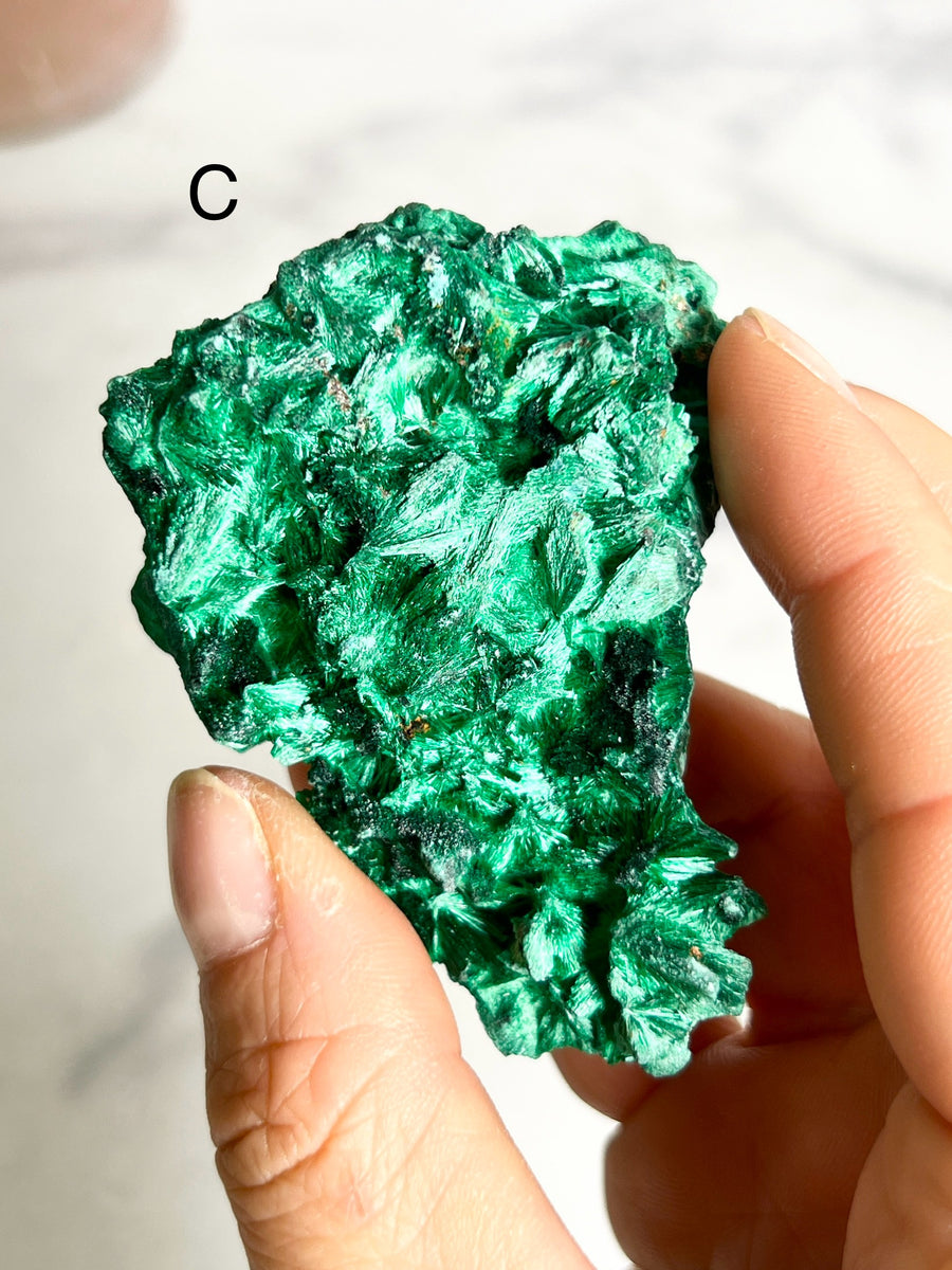 Velvet Malachite Cluster