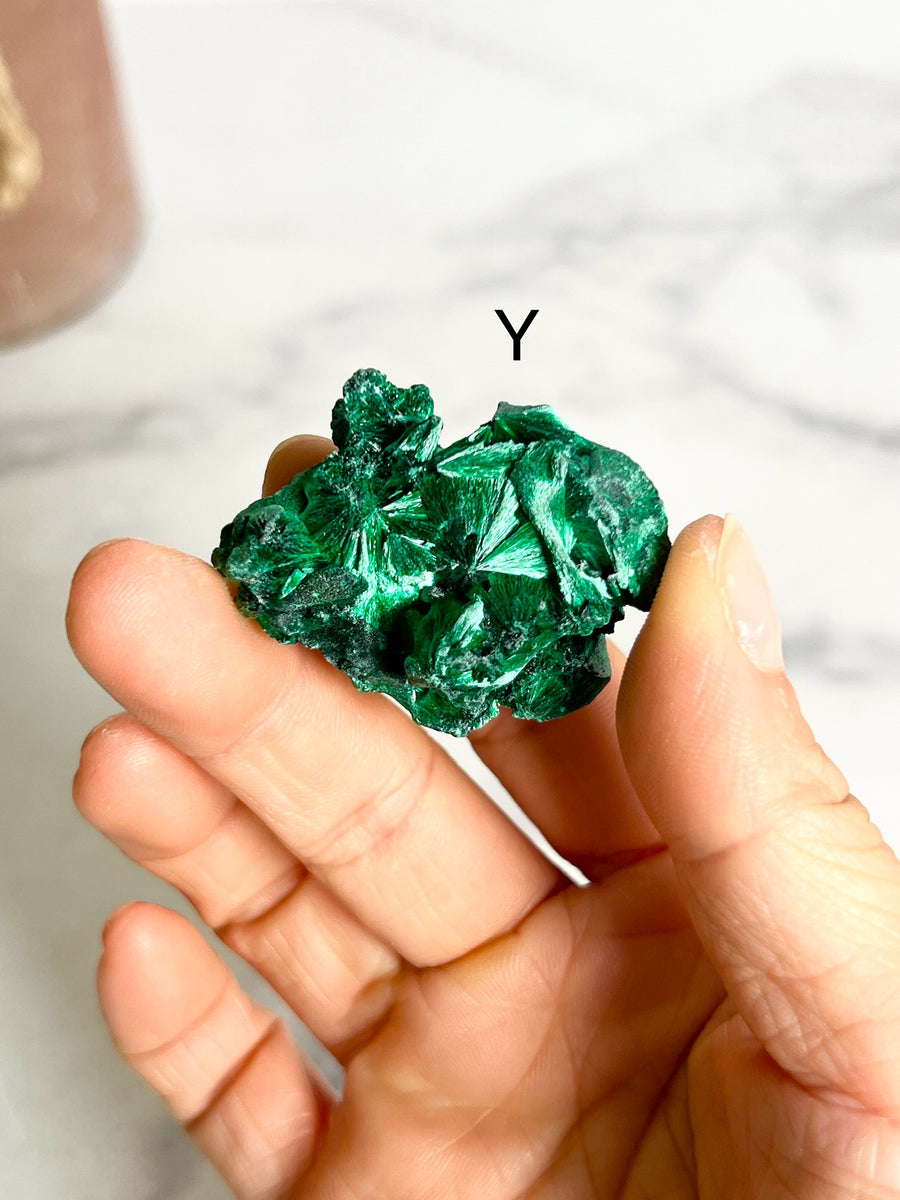 Velvet Malachite Cluster