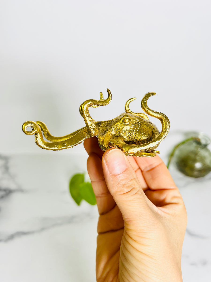 Octopus Sphere Holder