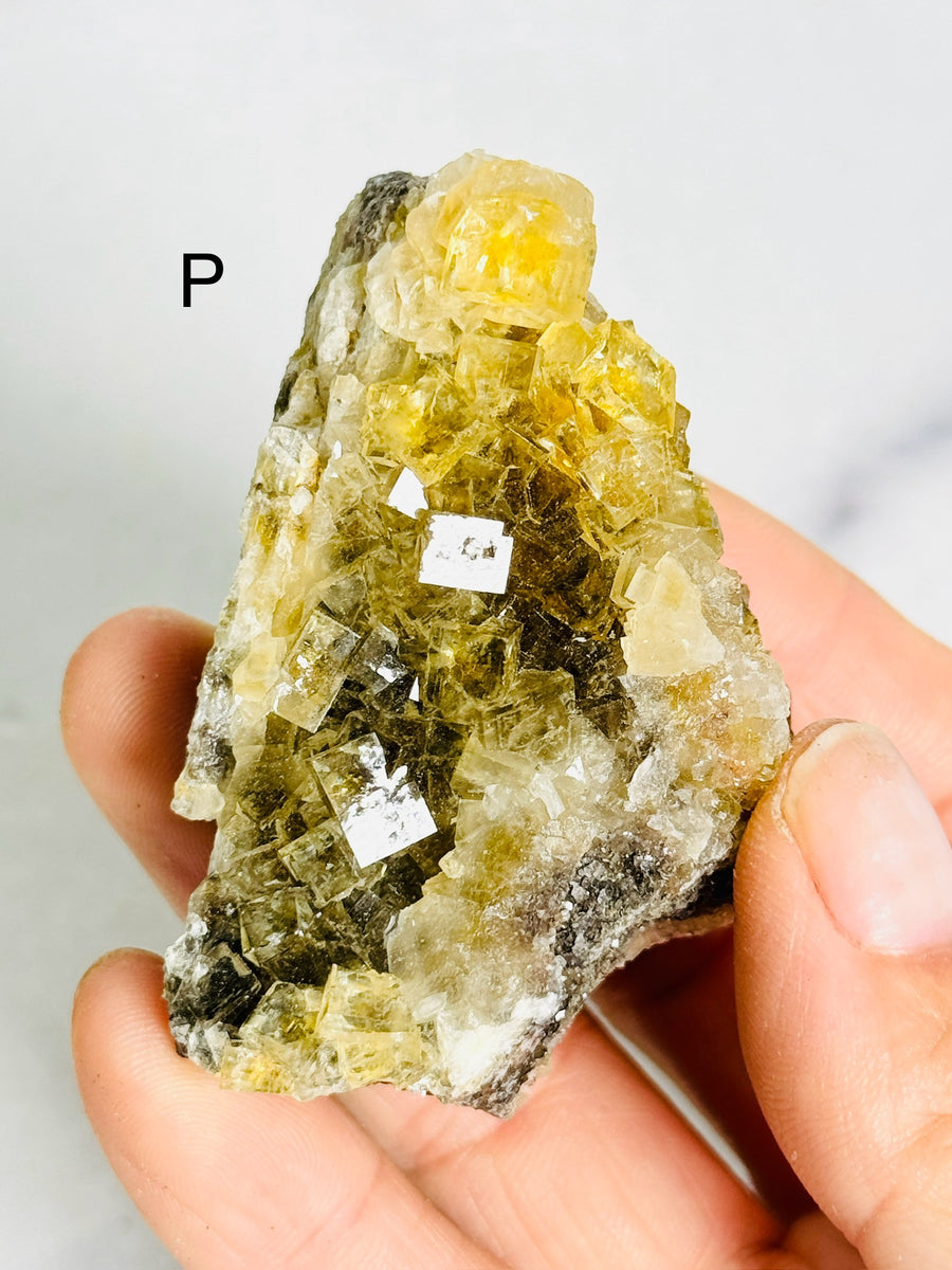 Moscona Fluorite