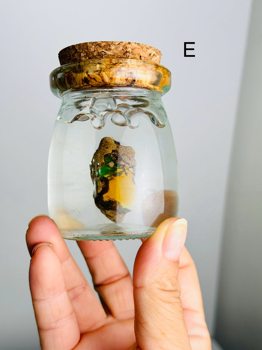 Ethiopian Water Opal in Glass Jar