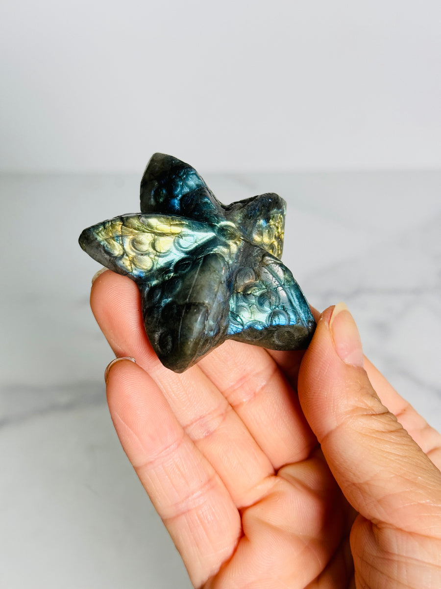 Labradorite Starfish Carving