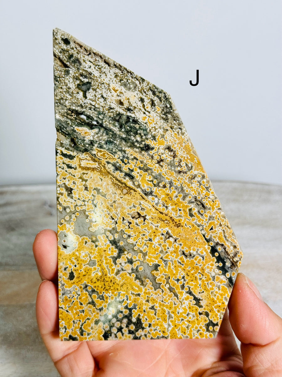 Ocean Jasper Slab