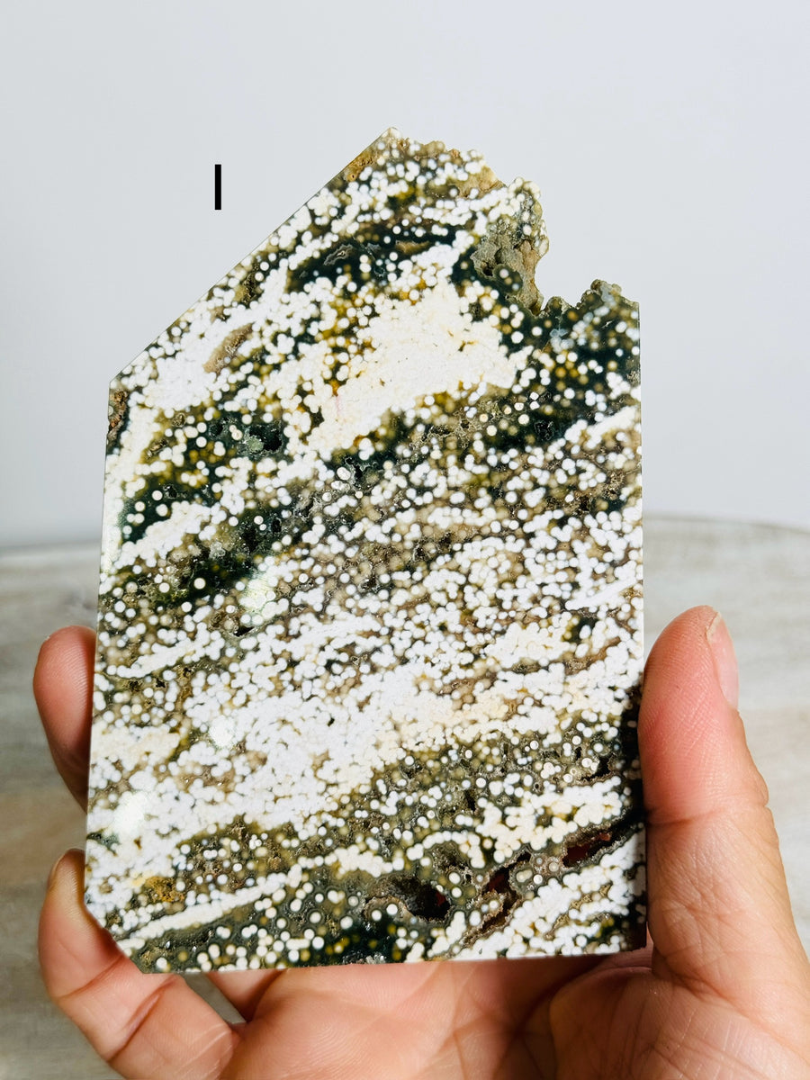 Ocean Jasper Slab