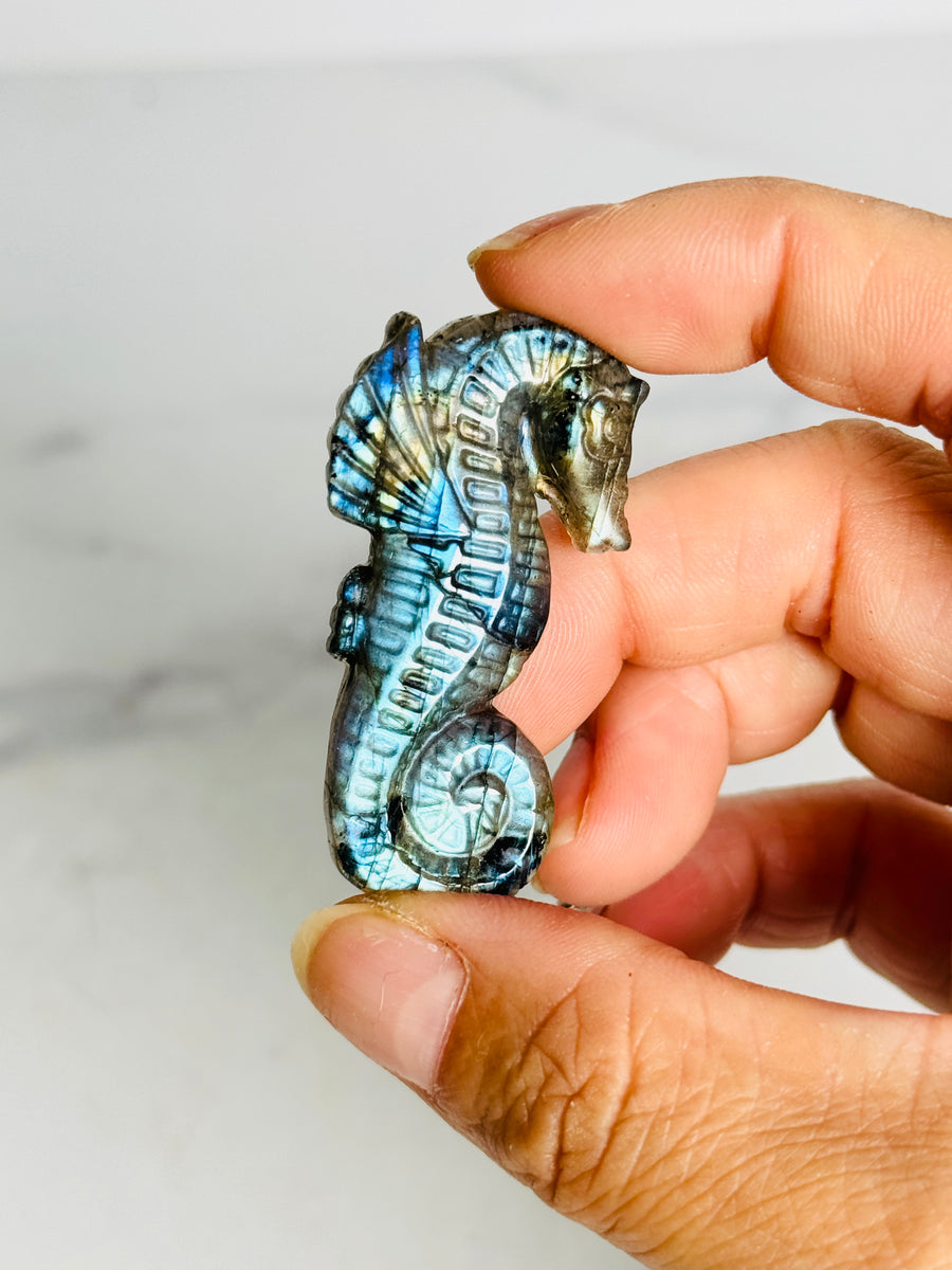 Labradorite Seahorse Carving