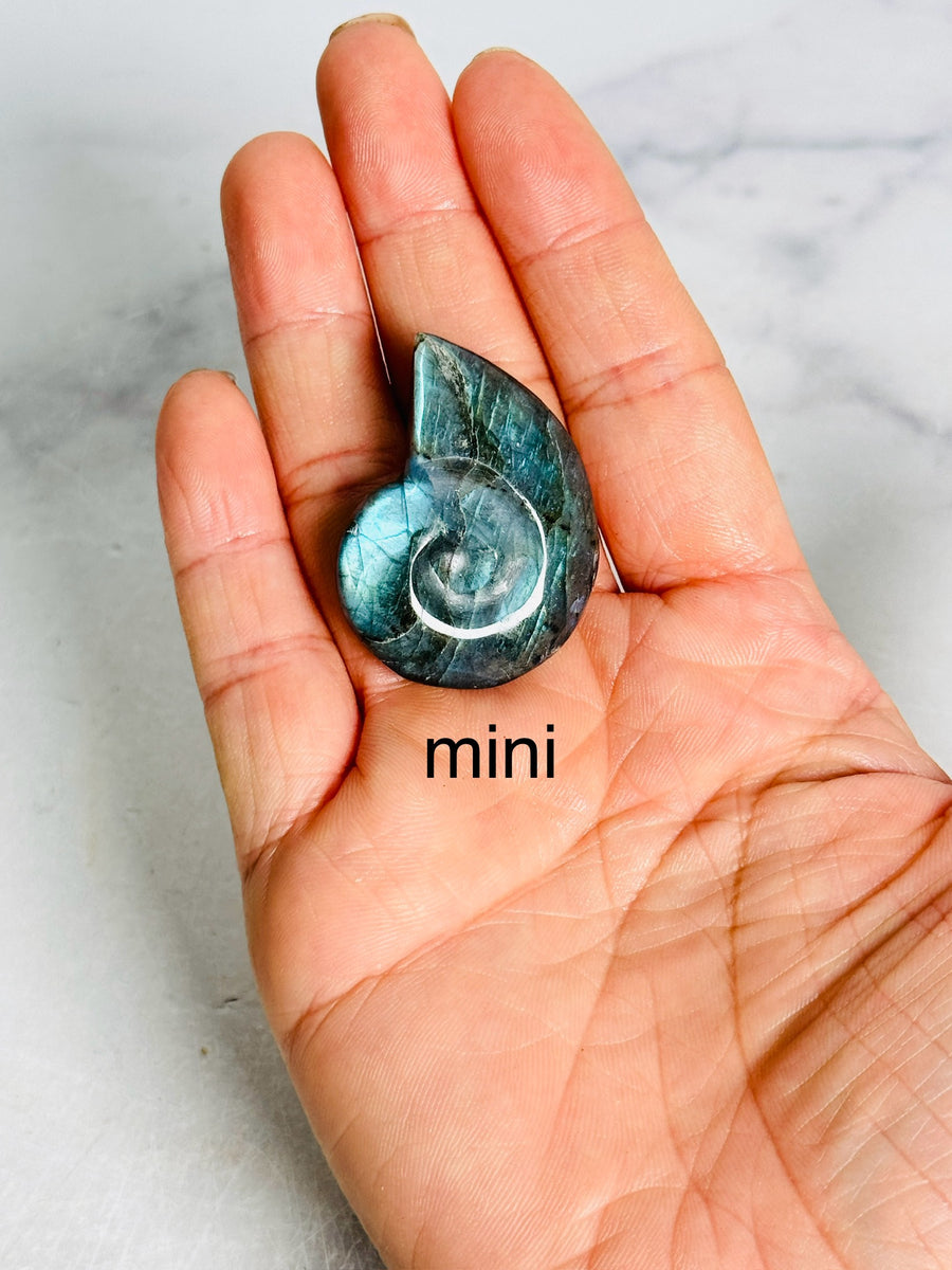 Labradorite Shell Carving