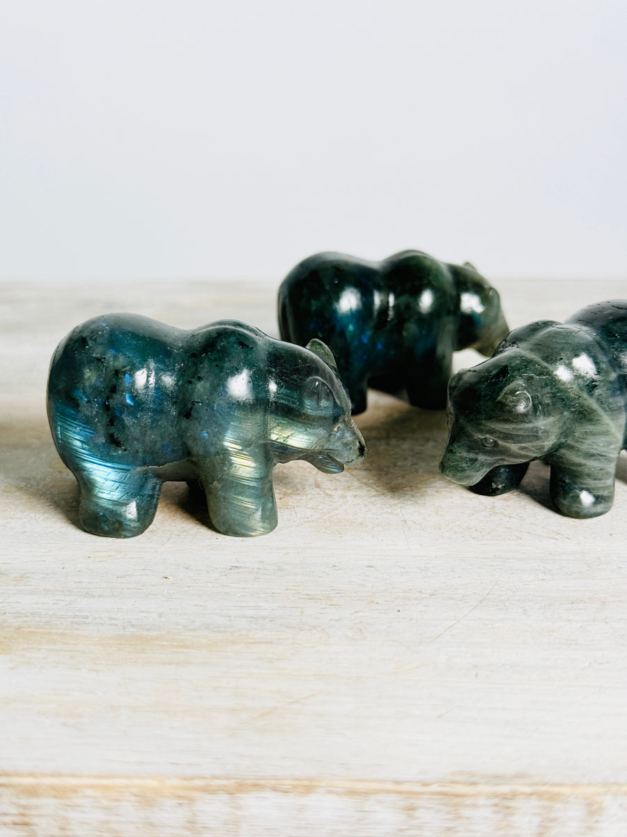 Labradorite Bear Carving