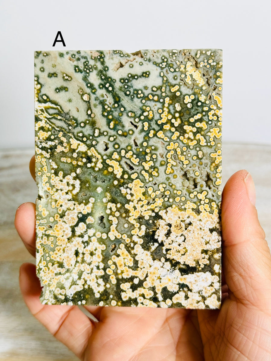 Ocean Jasper Slab