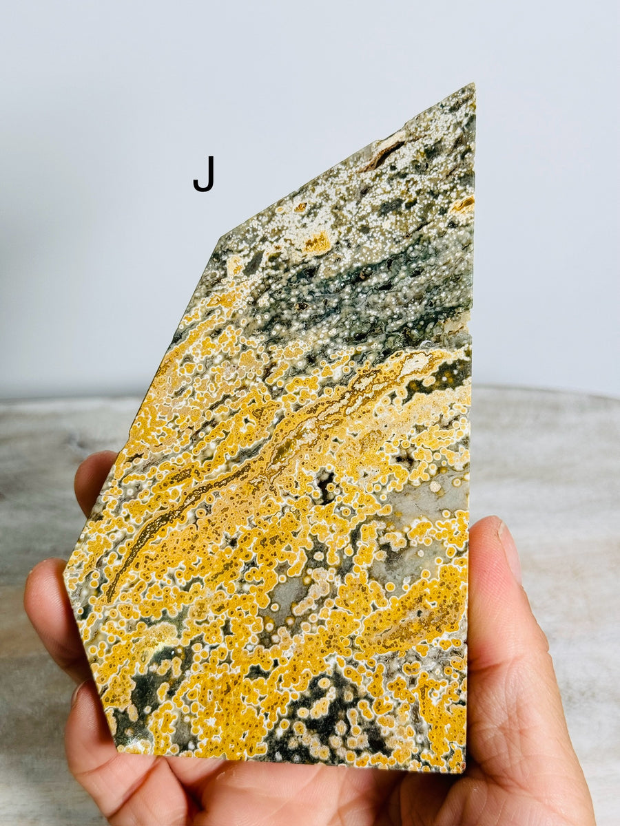 Ocean Jasper Slab