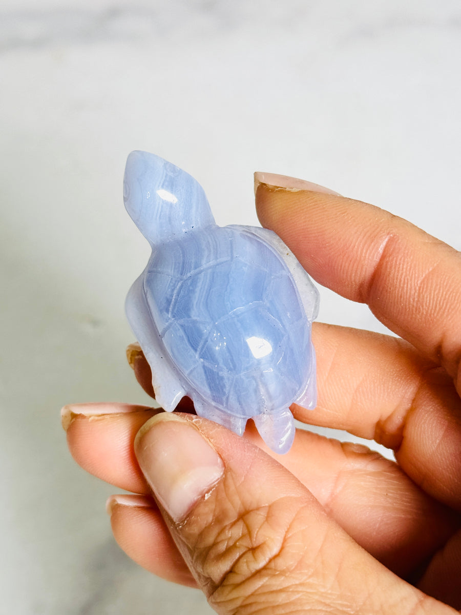 Blue Lace Agate Turtle Carving