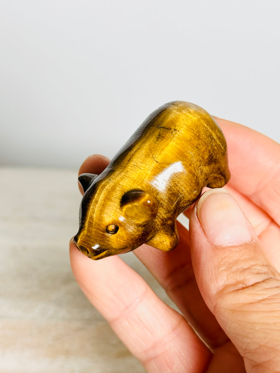 Tiger Eye Pig Carving