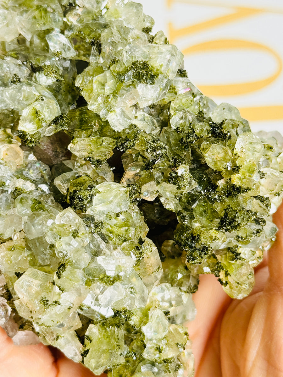 Forest Epidote with Quartz Cluster