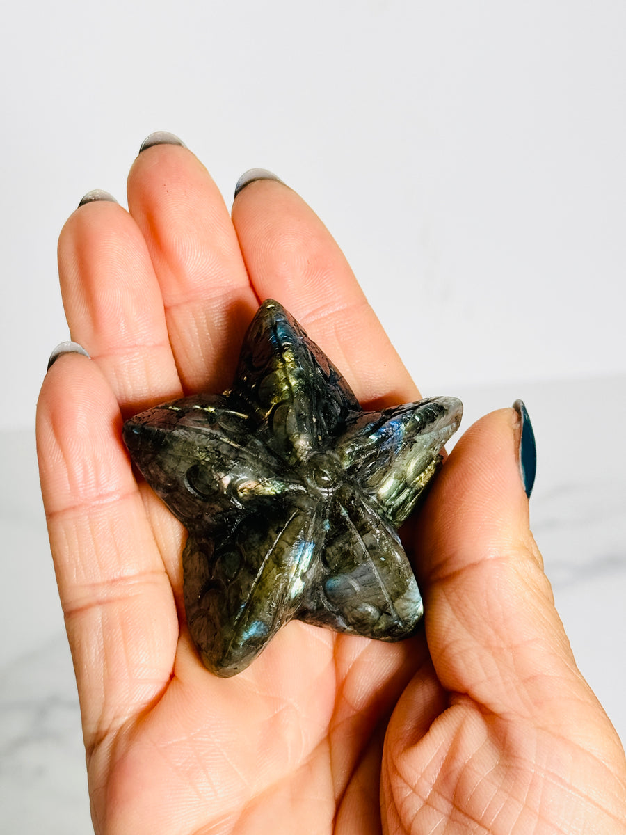 IMPERFECT Labradorite Starfish Carving