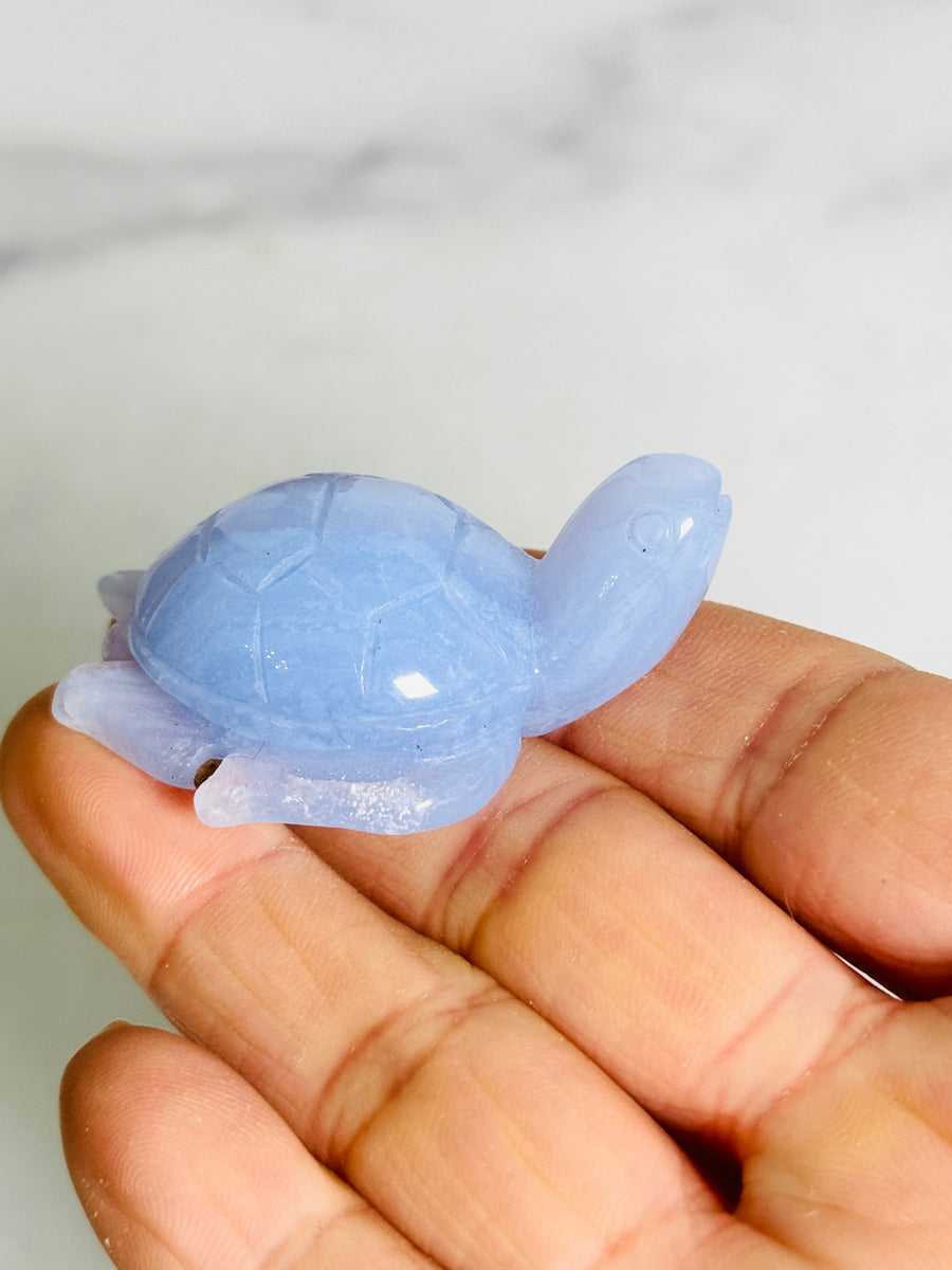 Blue Lace Agate Turtle Carving