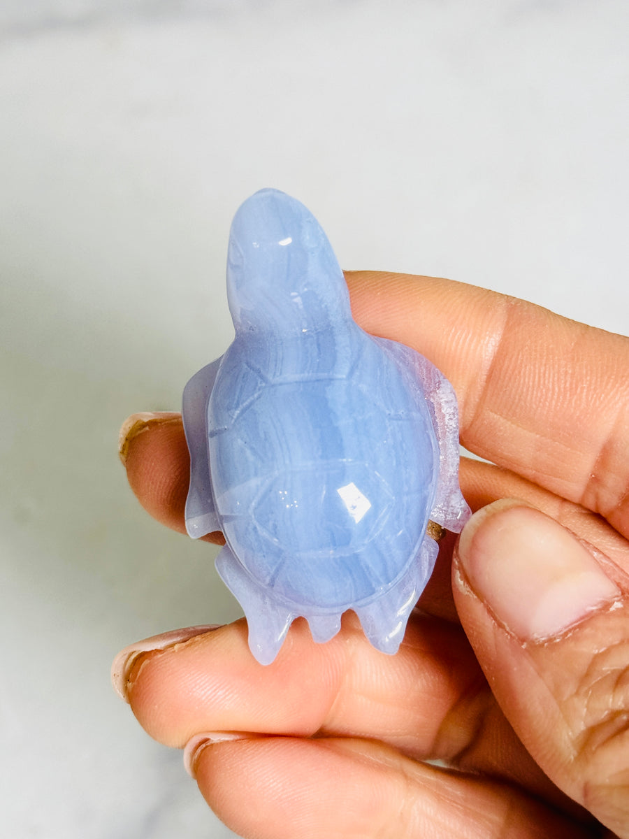 Blue Lace Agate Turtle Carving