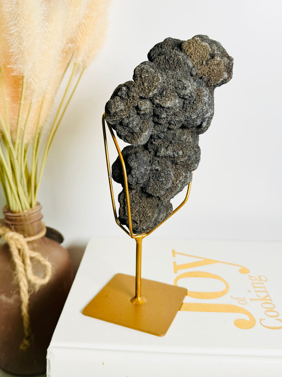 Druzy Petrified Wood on Gold Custom Stand