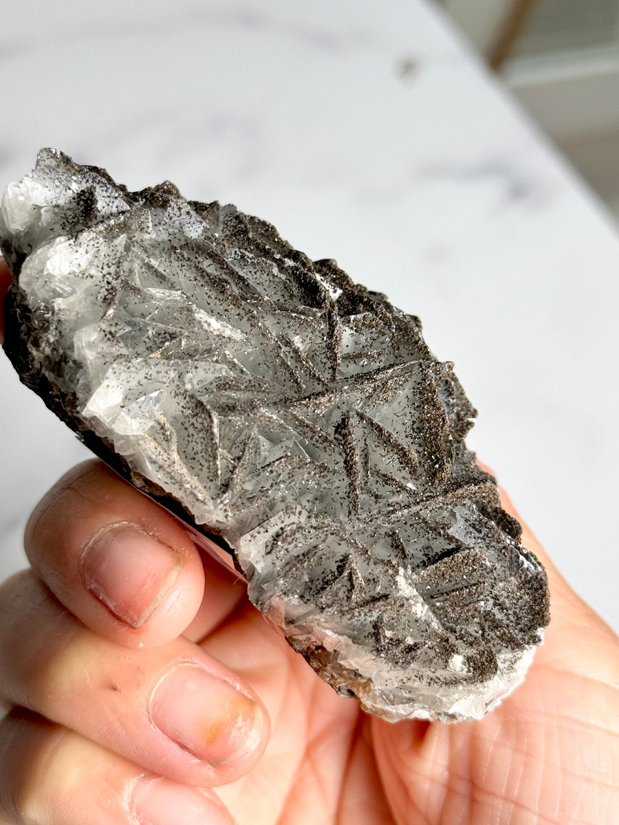 RARE - Black Rose Calcite with Goethite