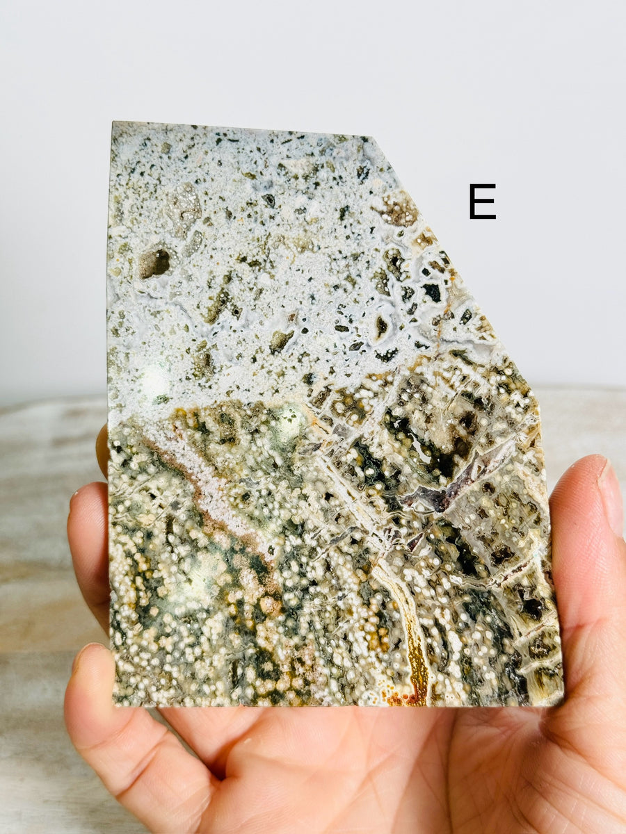 Ocean Jasper Slab